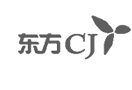 迅傲科技-合作伙伴-东方CJ